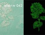 Farba fosforescencyjna Neon PRIMACOL Decorative - zdjęcie 3